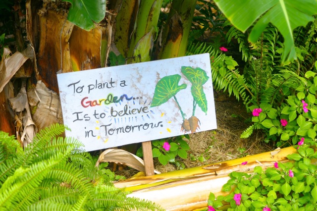 Grow The Change, KHAKO Garden. Photo: Phil Wikel
